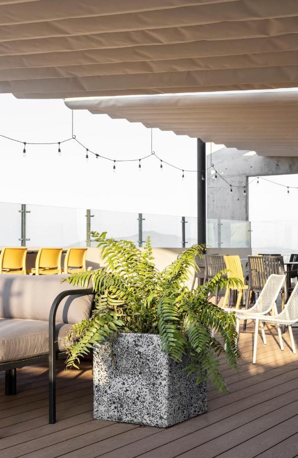 Galeria Flat Rooftop Pool Witgdl Guadalajara Exteriör bild